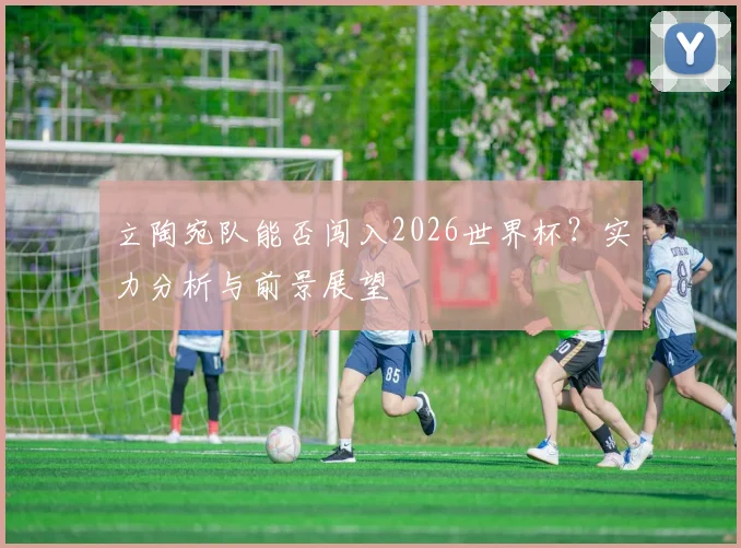 立陶宛队能否闯入2026世界杯?实力分析与前景展望
